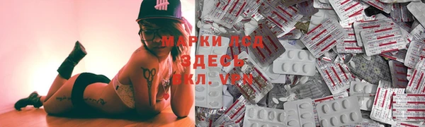 apvp Бородино
