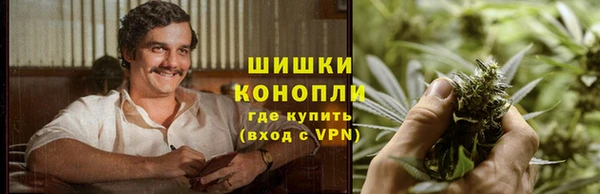 метадон Богданович