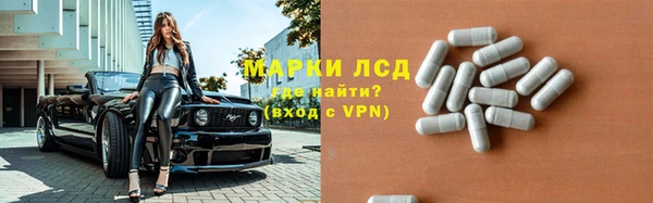 apvp Бородино