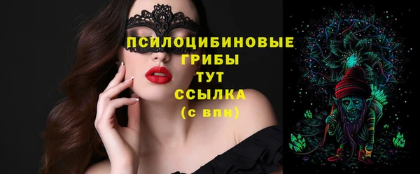 метадон Богданович