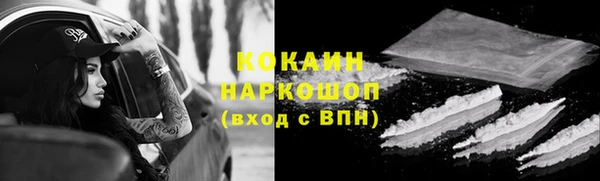 apvp Бородино