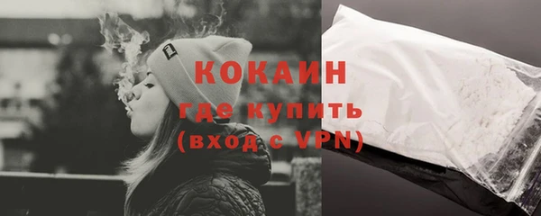 метадон Богданович