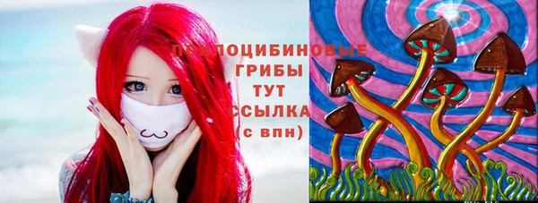 метадон Богданович