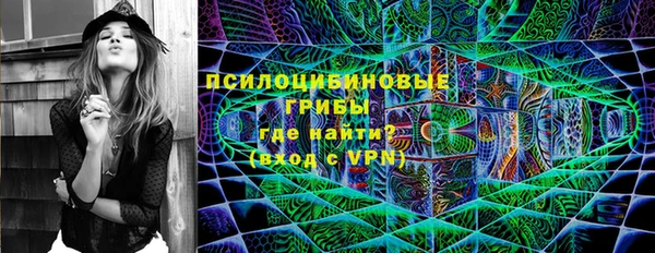 метадон Богданович