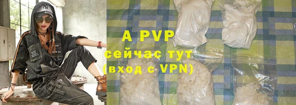 метадон Богданович